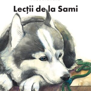 Lecții de la Sami