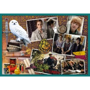 PUZZLE TREFL 10IN1 HARRY POTTER IN LUMEA LUI HARRY POTTER - imagine 1