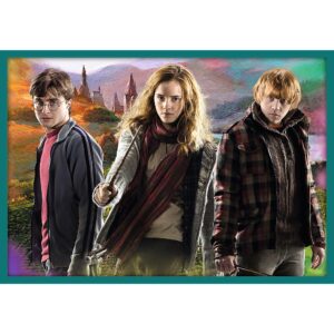 PUZZLE TREFL 10IN1 HARRY POTTER IN LUMEA LUI HARRY POTTER - imagine 4