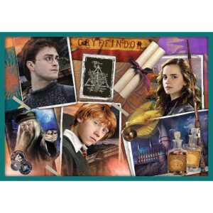 PUZZLE TREFL 10IN1 HARRY POTTER IN LUMEA LUI HARRY POTTER - imagine 5