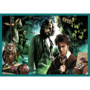 PUZZLE TREFL 10IN1 HARRY POTTER IN LUMEA LUI HARRY POTTER - imagine 6