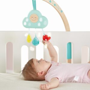 HAPE NOR MUZICAL CU LUMINI - imagine 6