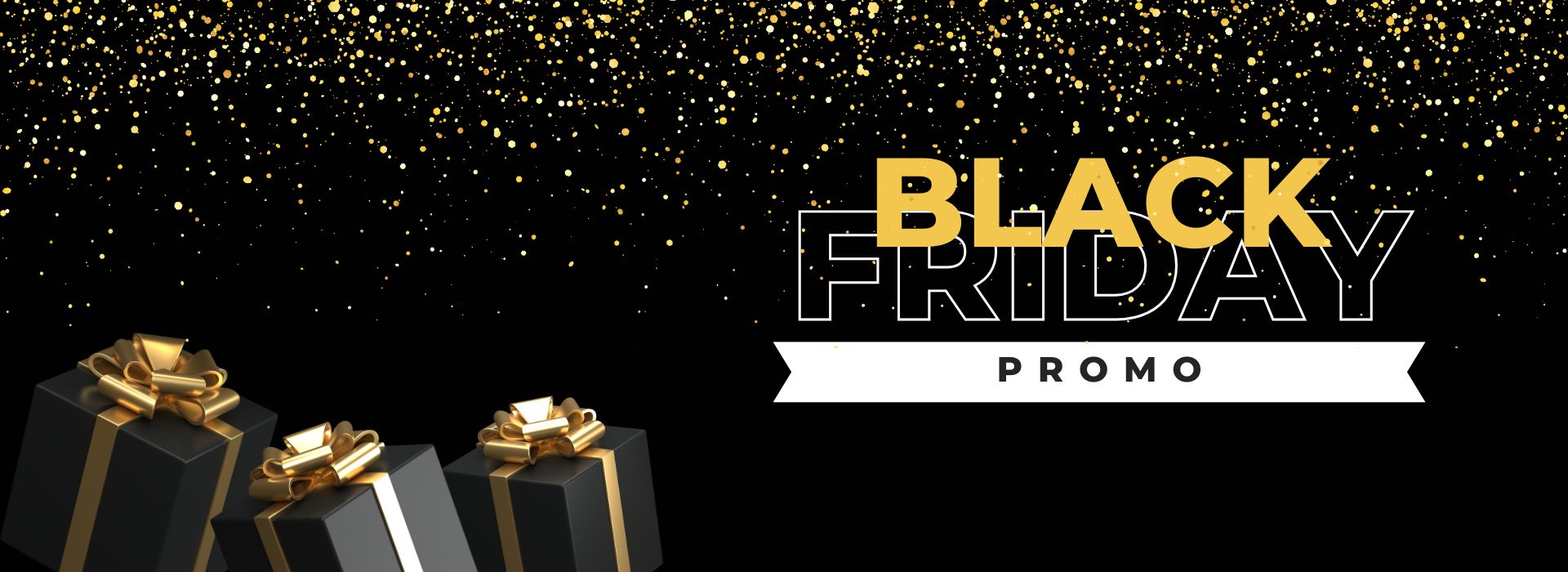 Black Friday Promo 2025 LEAM